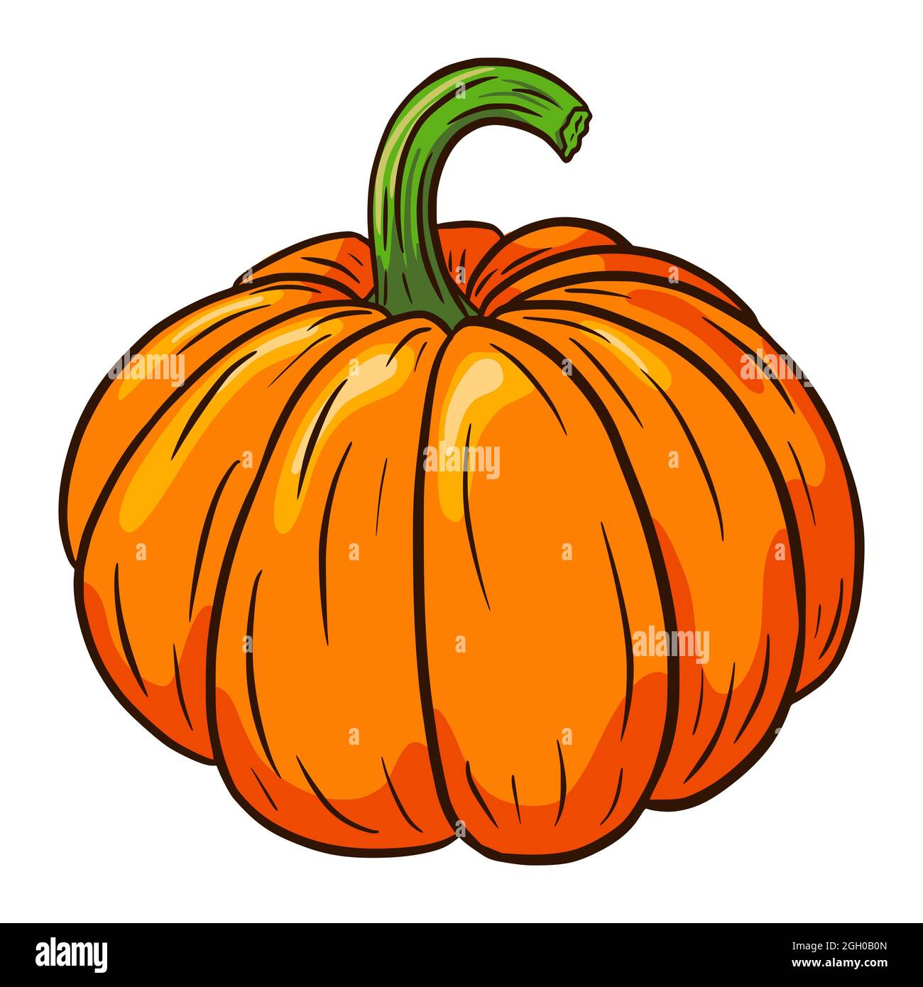 Pumpkin Illustration. Autumn Food Icon. Ripe squash sketch. Element for autumn decorative design, halloween invitation, harvest, sticker, logo, menu, recipe Stock Vector