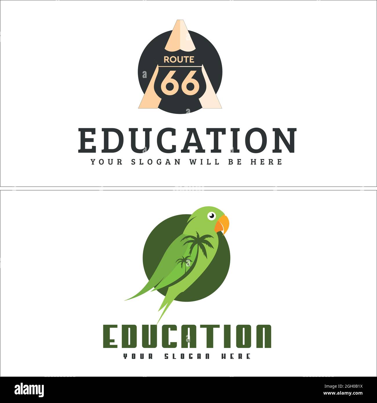Education logo with parrot tree palm and shield guard  Stock Vector