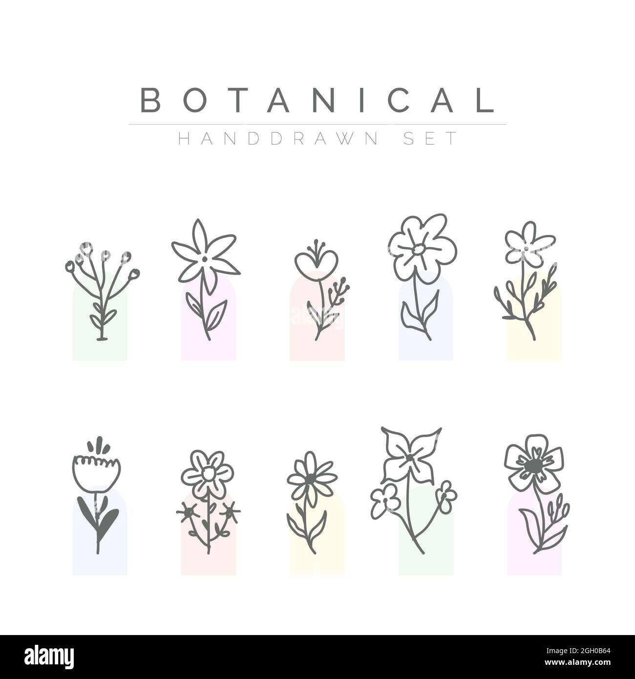 abstract botanical hand drawn colorful flower vector set Stock Photo ...