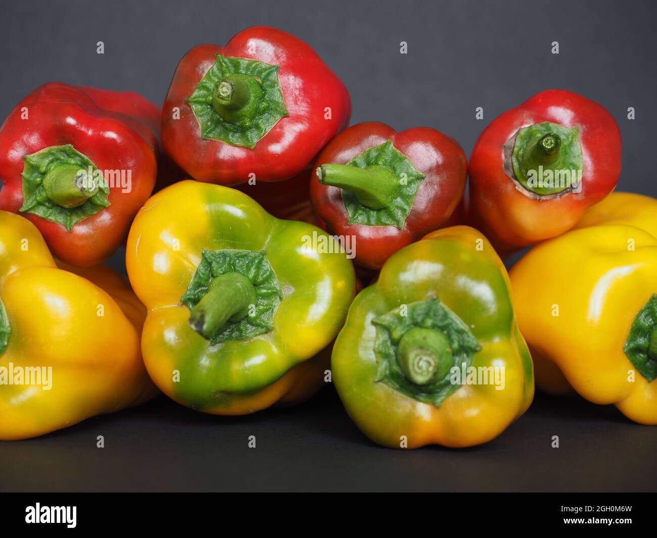 red and yellow peppers scientific name Capsicum aka bell peppers