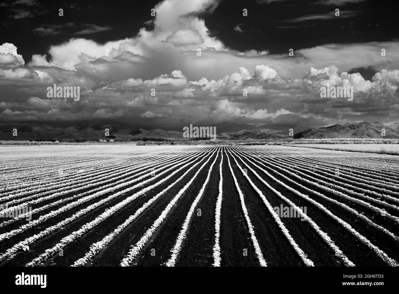 Black and white infrared landscape with a great dramatic sky Stock Photo