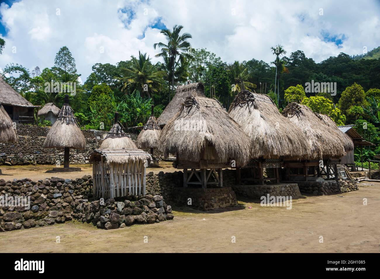 Ancestral Ngadhu posts and Bhaga model houses in the traditional ...