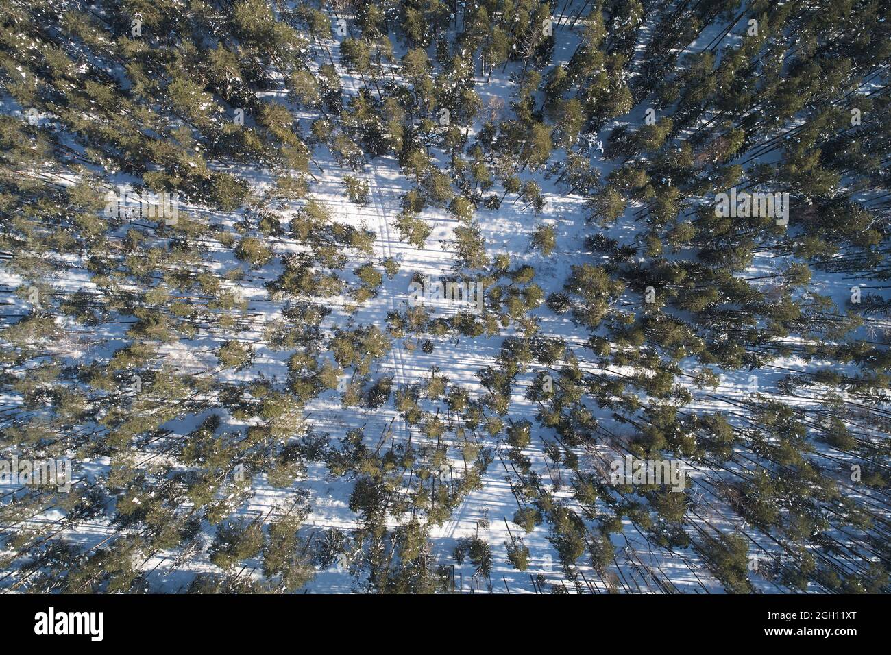 Natural winter forest background aerial above top drone view Stock Photo