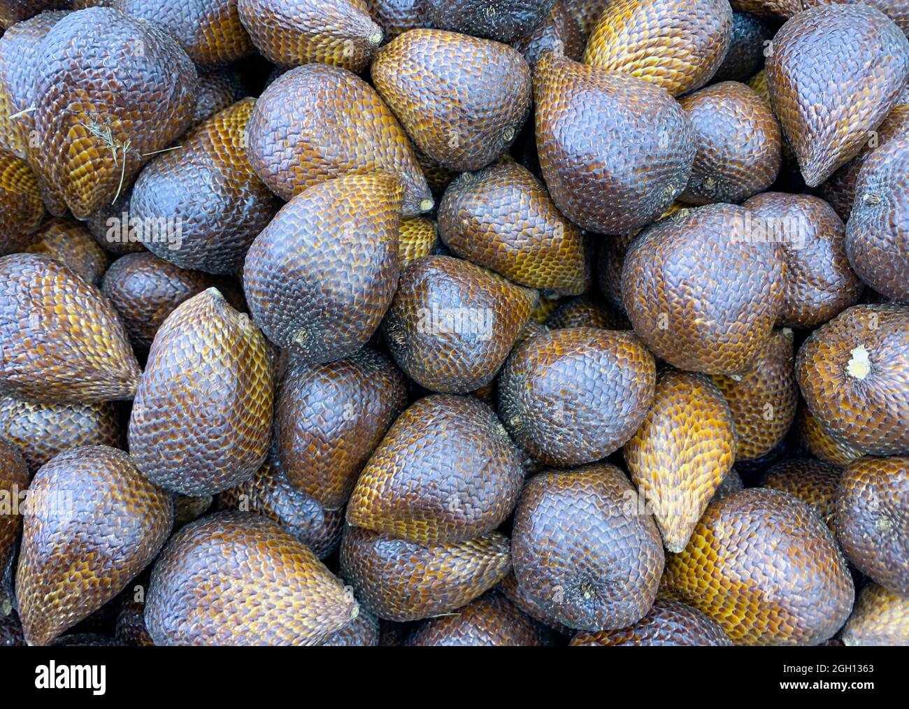 Top view of Salak (Salacca edulis or Salacca zalacca) known as snake ...