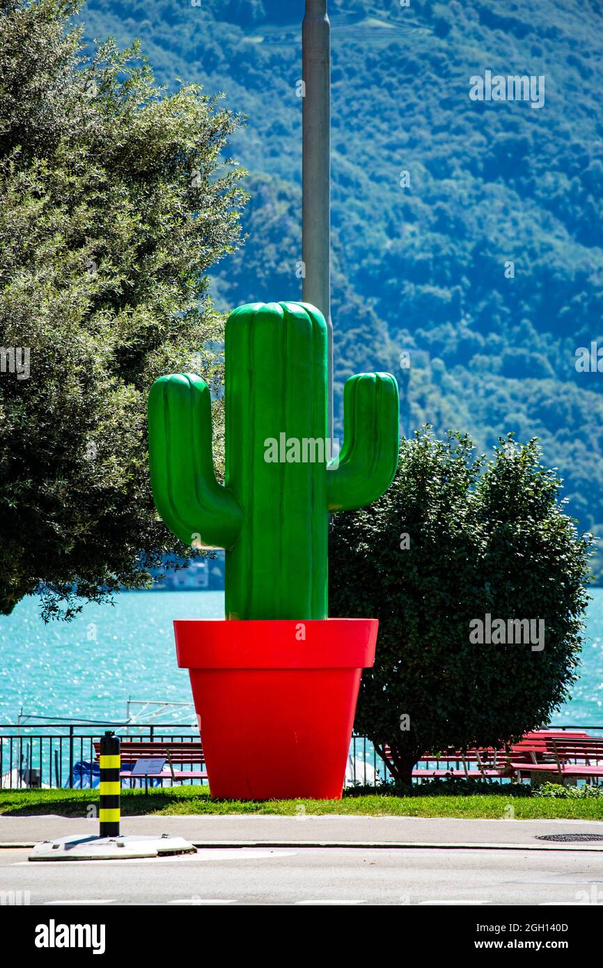 Ein großer grüner Kaktus in einem roten Topf in Lugano am Luganer See in der Schweiz. Stock Photo