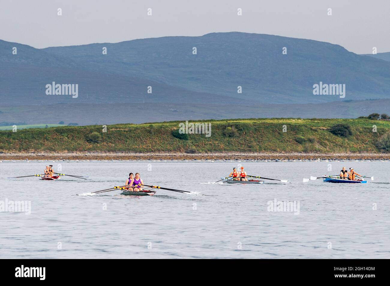 Bantry, West Cork, Ireland. 4th Sep, 2021. Rowing Ireland is holding the national offshore rowing championships in Bantry this weekend. The event, hosted by Bantry Rowing Club, is being contested by 30 rowing clubs from around Ireland. The racing was very close. Credit: AG News/Alamy Live News Stock Photo