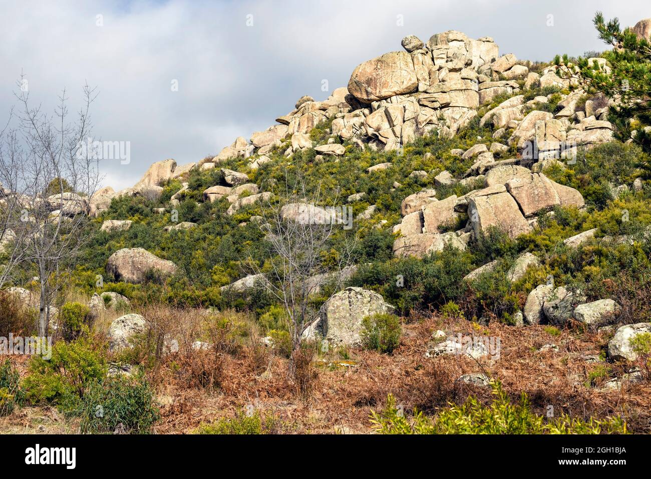 Granite rocks and bushes in Sierra Cabrera. Madrid. Spain. Europe. Stock Photo