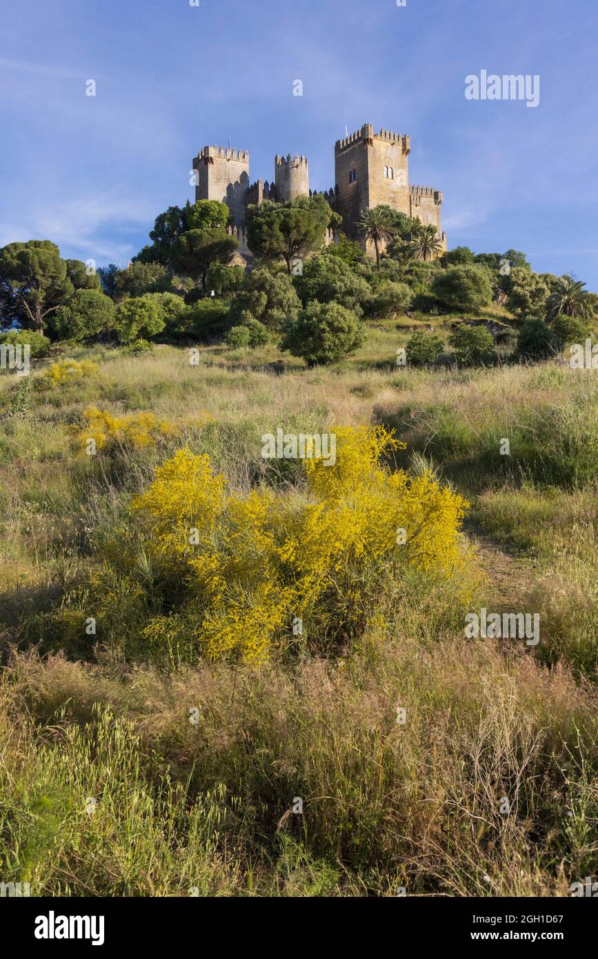 Almodovar castle. Almodovar del Rio, Cordoba Province, Andalusia, Spain. Founded as a Roman fort it developed into its present form during the Stock Photo