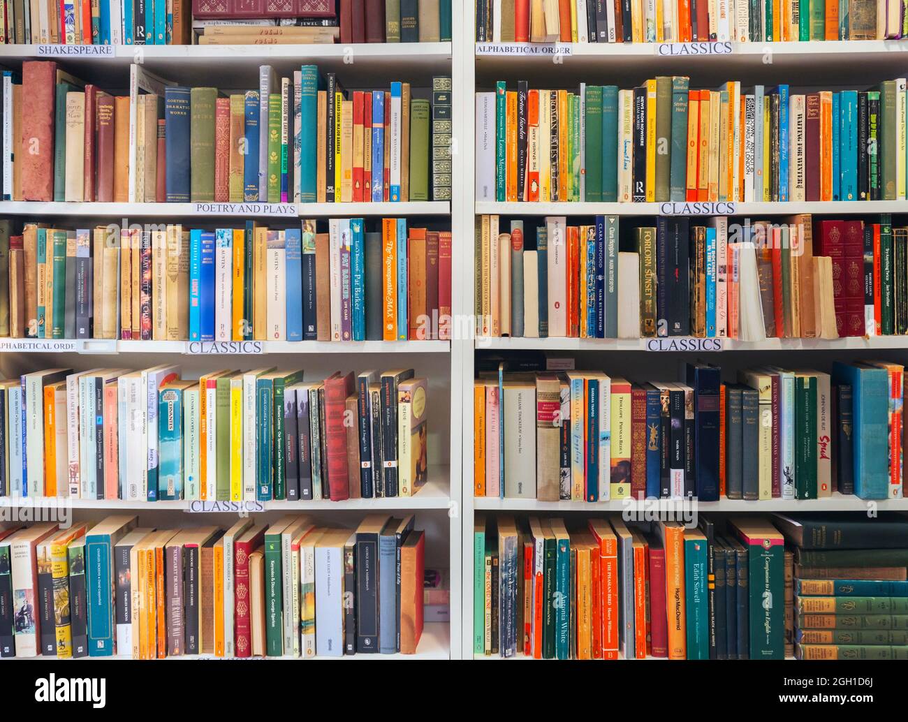 Shelves of classic books in the English language. Stock Photo