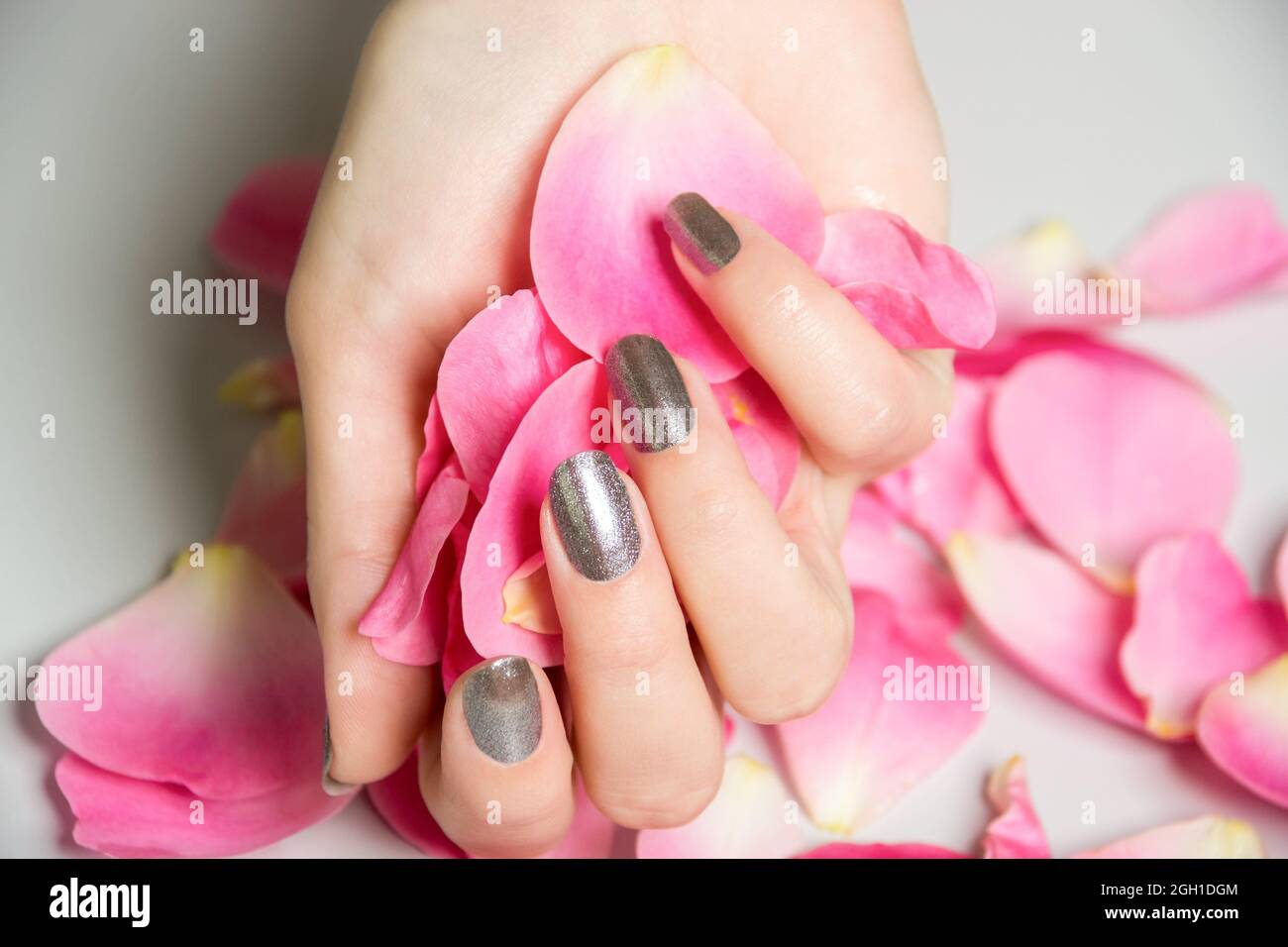 Close up of hands with metallic fingernail paint over spread out pink rose petals. Stock Photo