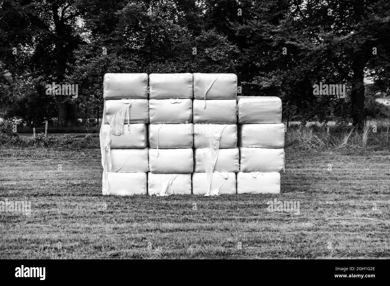 Hay bales wrapped in white plastic in a meadow Stock Photo - Alamy
