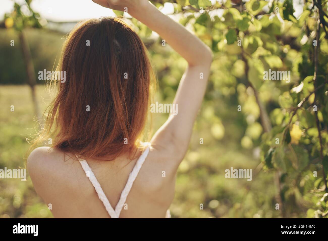 Woman in white dress nature green leaves trees fresh air Stock Photo ...