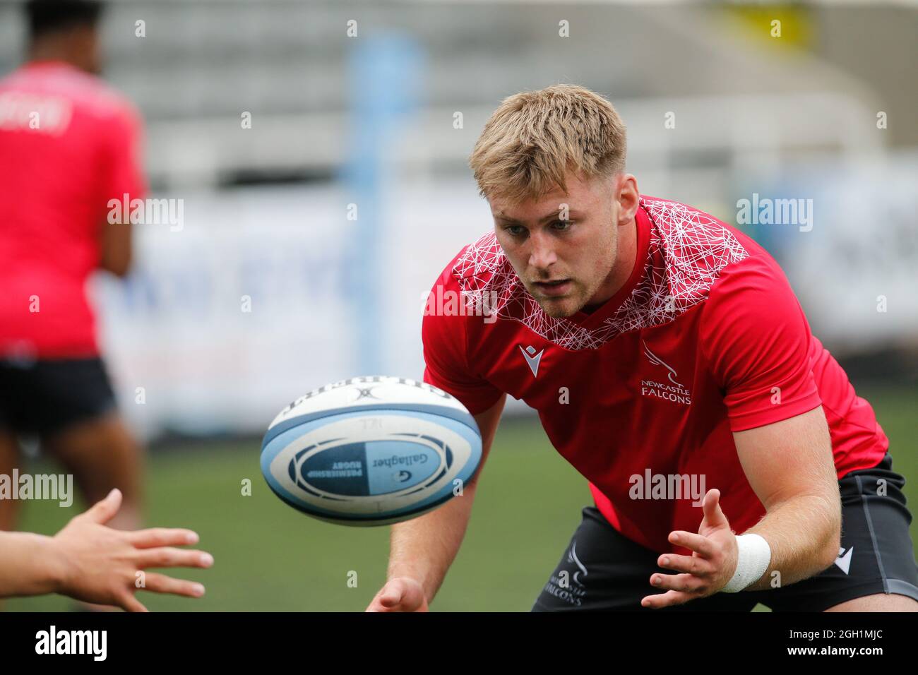 Tickets on sale for Falcons pre-season. - Doncaster Knights