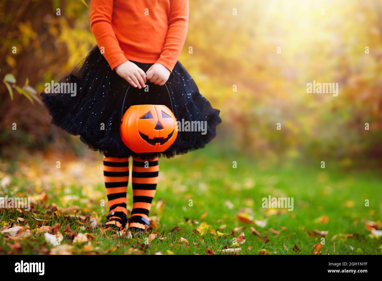 Little girl in witch costume playing in autumn park. Child having fun at Halloween trick or treat. Kids trick or treating. Stock Photo