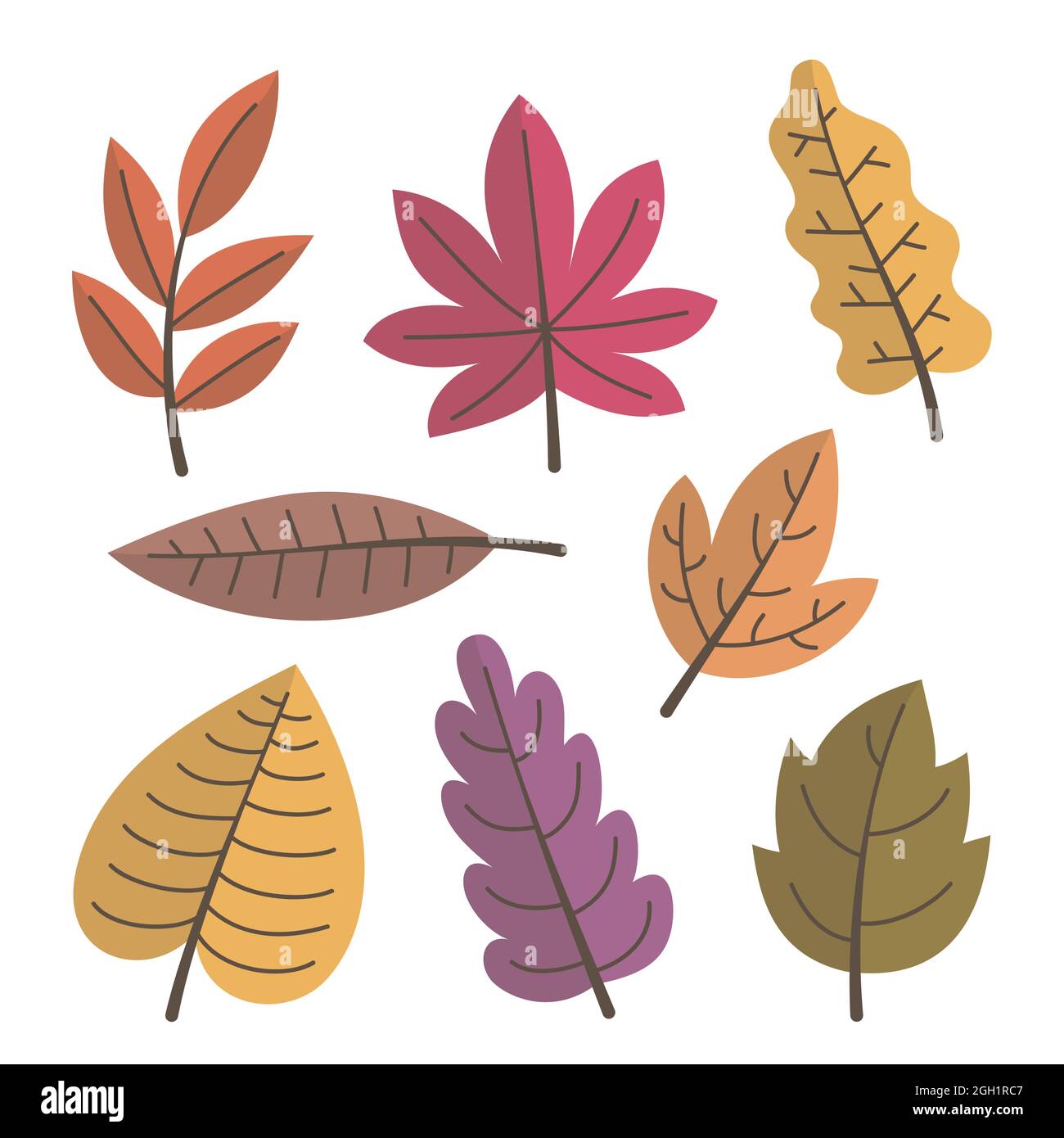 Autumn leaves set Vector illustration Stock Vector Image & Art - Alamy