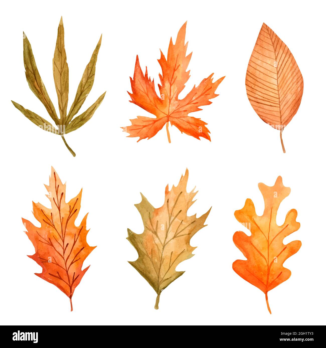 Watercolor autumn leaves set Vector illustration Stock Vector Image ...