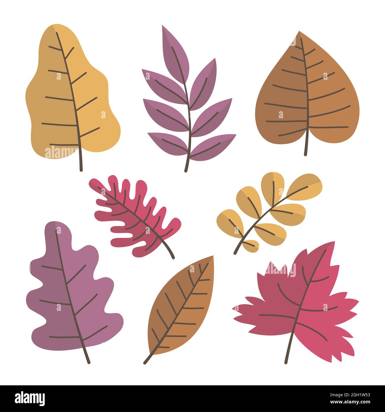 Autumn leaves set Vector illustration Stock Vector Image & Art - Alamy