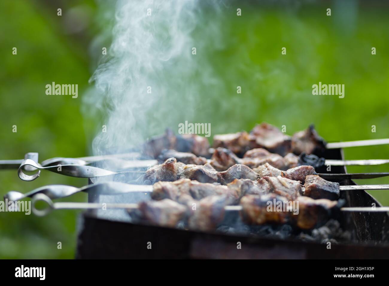 Barbecue meat on skewers. Cooking shashlik on the mangal in nature. Grilled kebab cooking on metal skewer. Home picnic Stock Photo