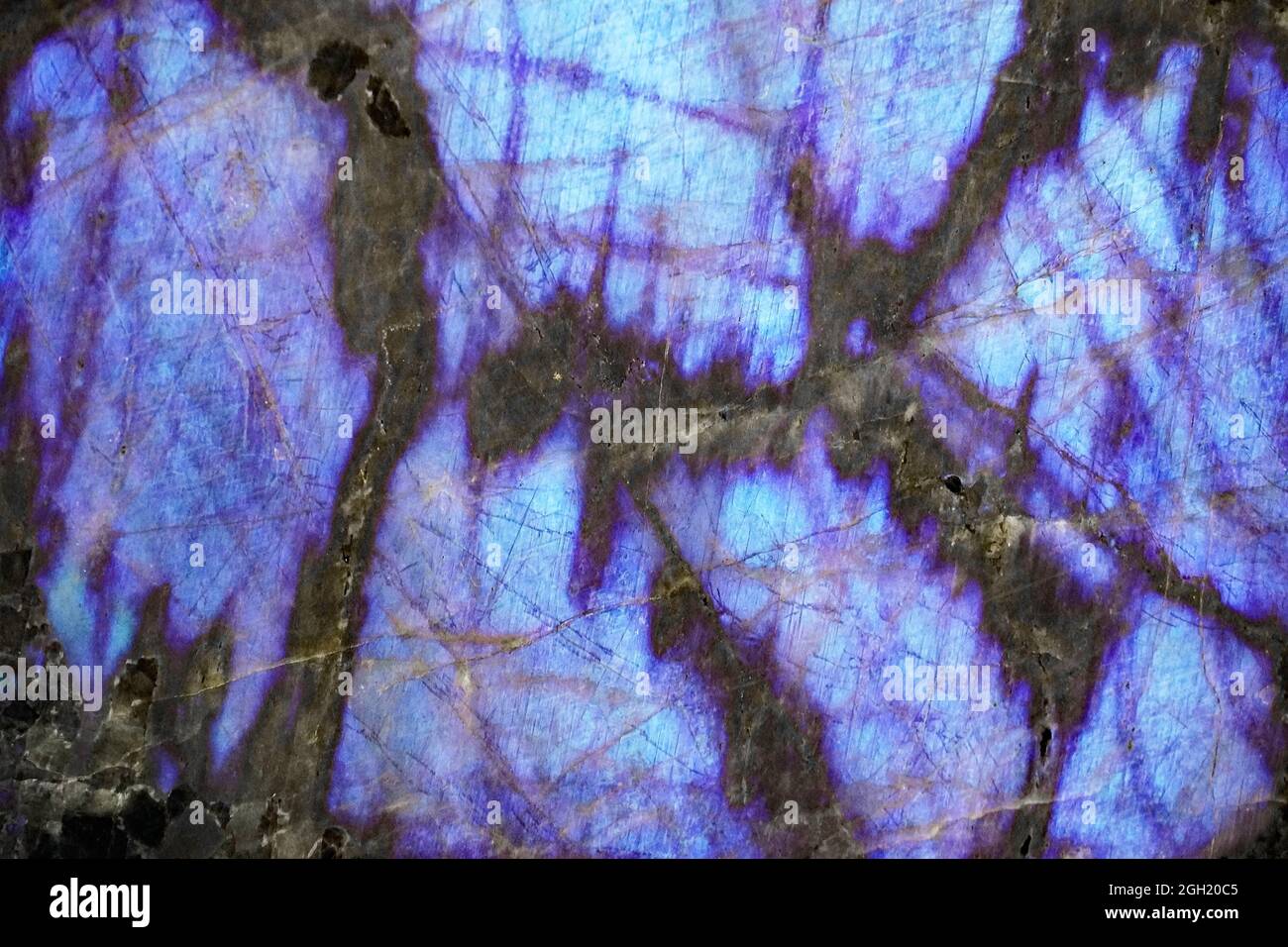 Spectrolite, labradorite. Close up of the stone as a black and blue ...