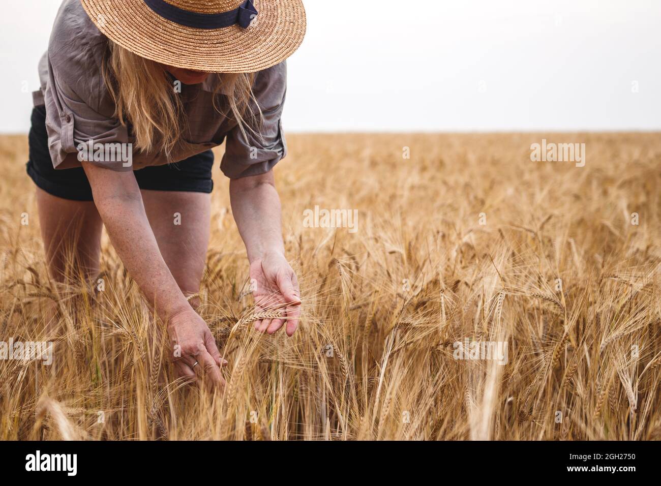 Farmer inspecting agricultural field and control quality of barley crop