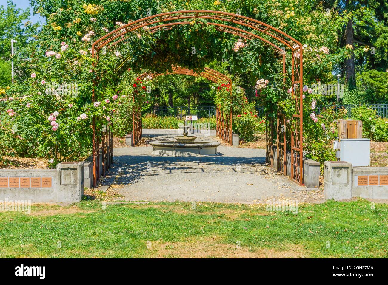 Rose trellises in Seatac, Washington Stock Photo Alamy