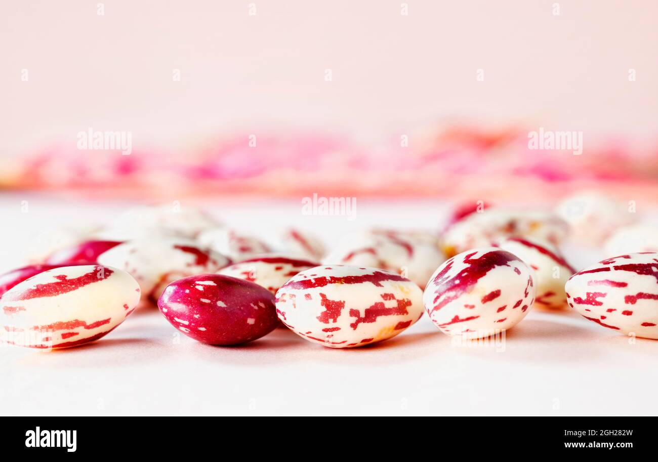 Fresh borlotti beans on table beans with red specks on creamy white