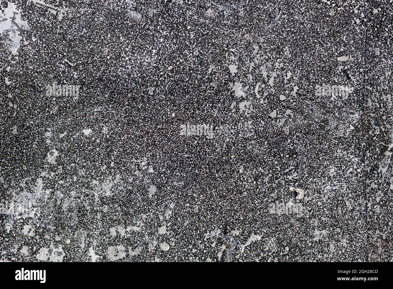 Gray surface with fine texture and white dots. Abstract neutral background for design. Backdrop Stock Photo