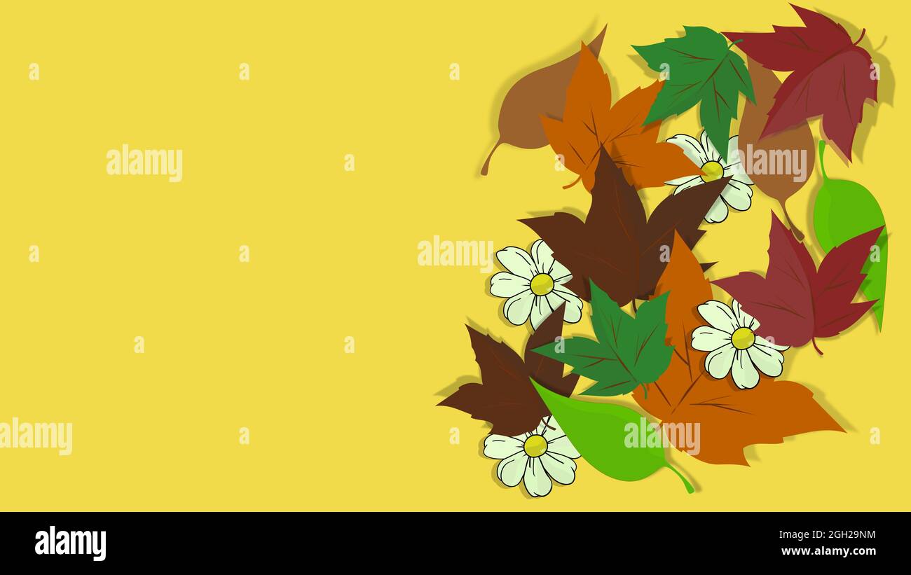 ........Positive and cheerful image. Card full of life. Nice seasonal card. AUTUMN COLOR PALETTE. WHITE DAISY, MULTICOLORED LEAVES WALLPAPER. Flower Drawing........ Stock Photo