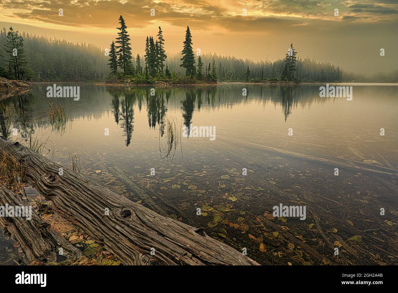 Sunrise on Buttle Lake in Strathcona Provincial Park, British Columbia Stock Photo