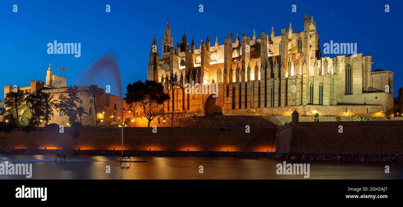 View of Palma de Mallorca cathedral by night, Spain, Europe Stock Photo