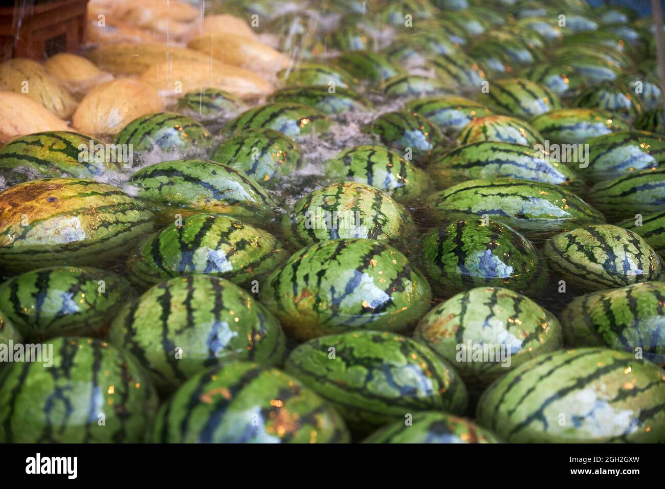 Watermelons and melons in water for washing Stock Photo Alamy