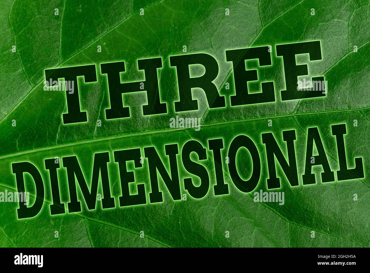 Conceptual display Three Dimensional. Conceptual photo Things that have