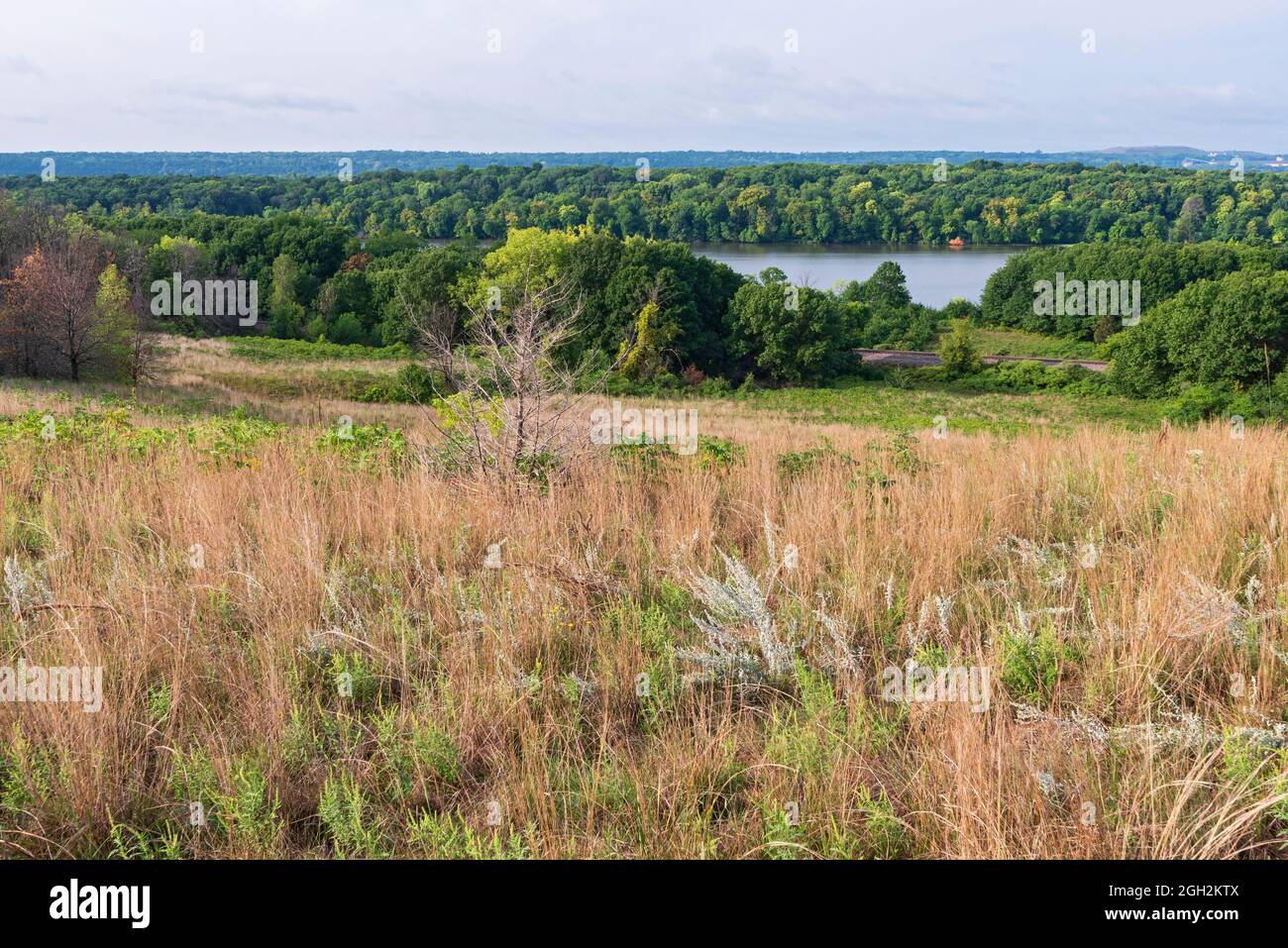 grey cloud dunes scientific natural area overlooking mooers lake part