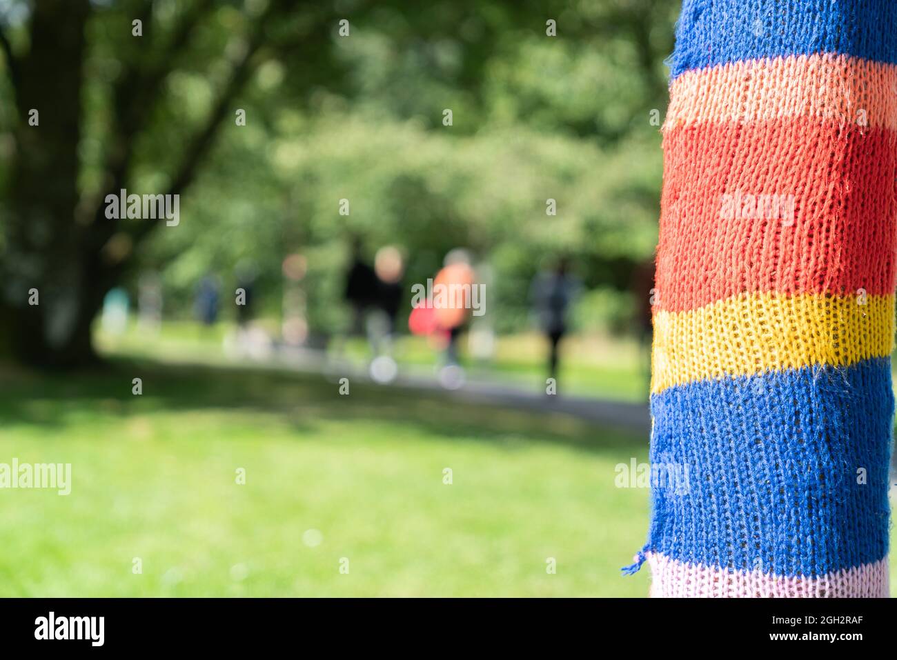 Color and interested added by yarn bombing trees in parks in Ireland. Stock Photo