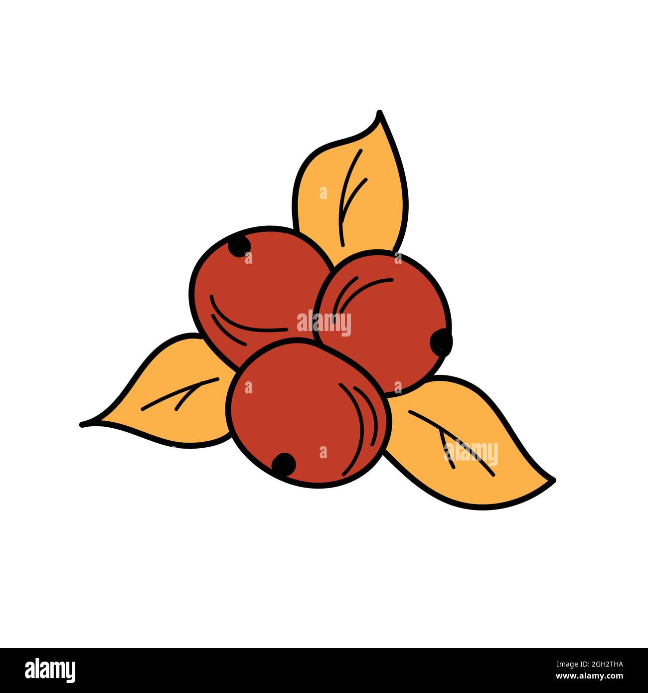 Autumn element - in simple style. Red berries and autumn leaves on a ...