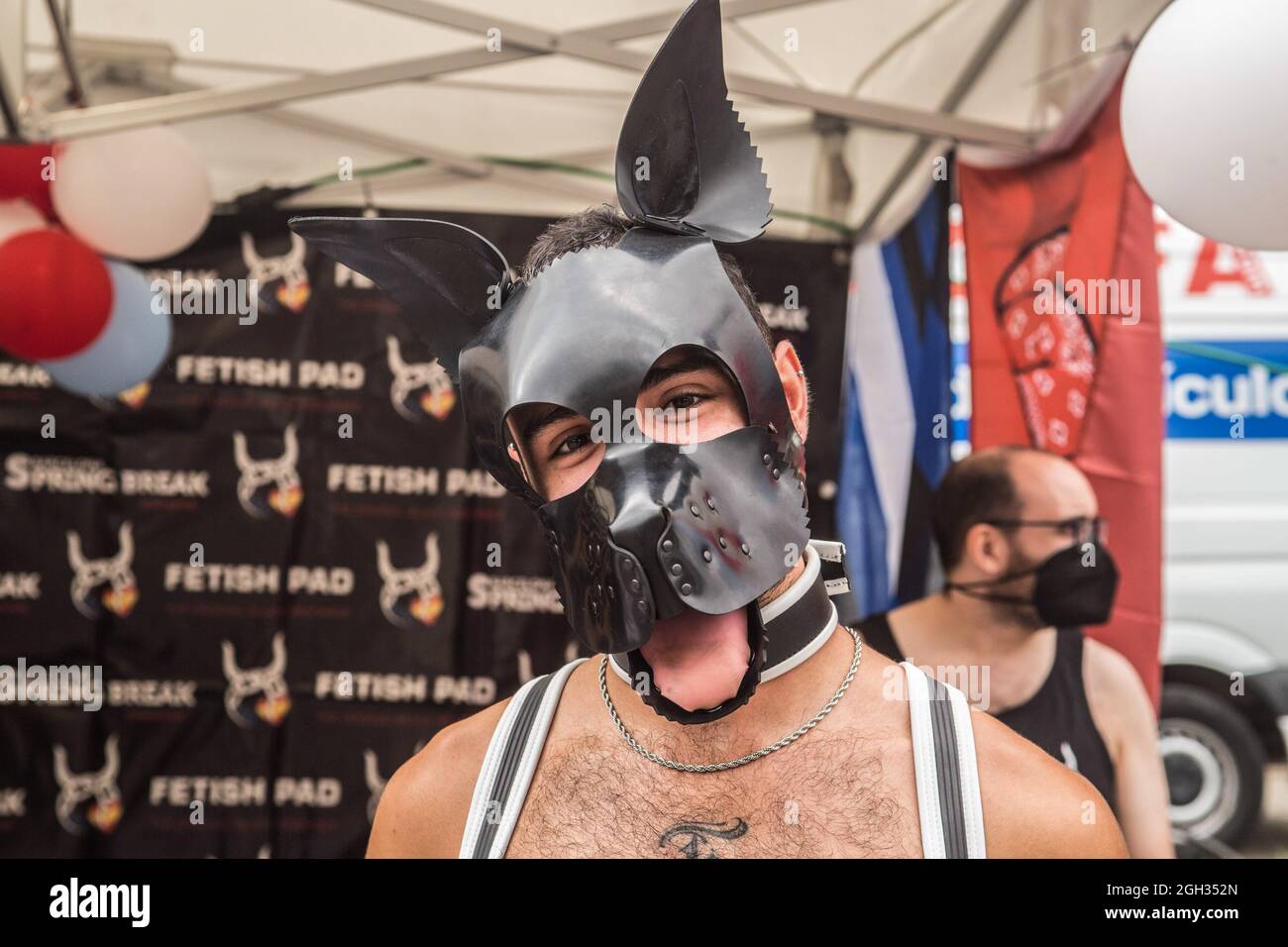 Page 3 - Dog Mask High Resolution Stock Photography and Images - Alamy