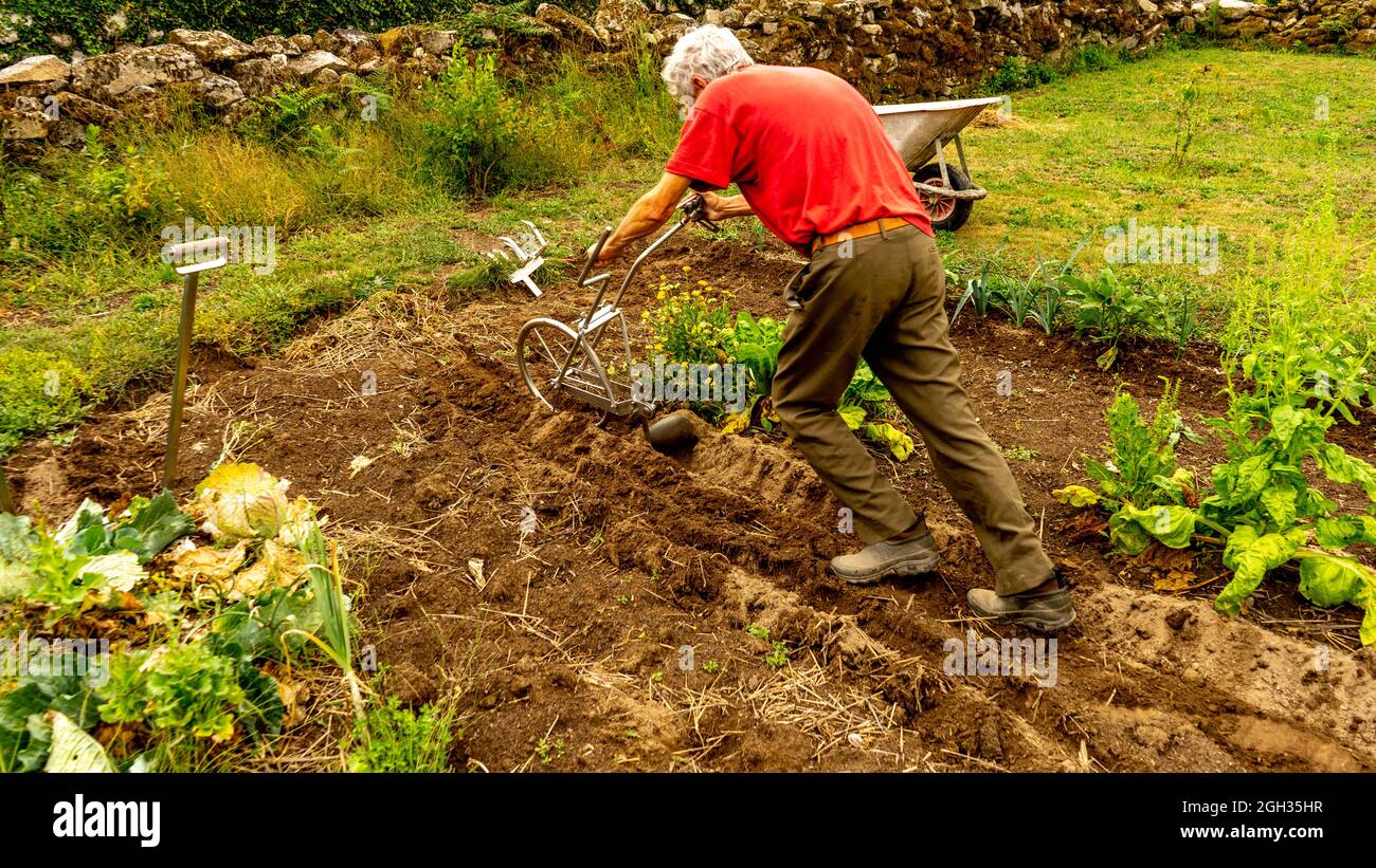 man using a hand plow Stock Photo Alamy