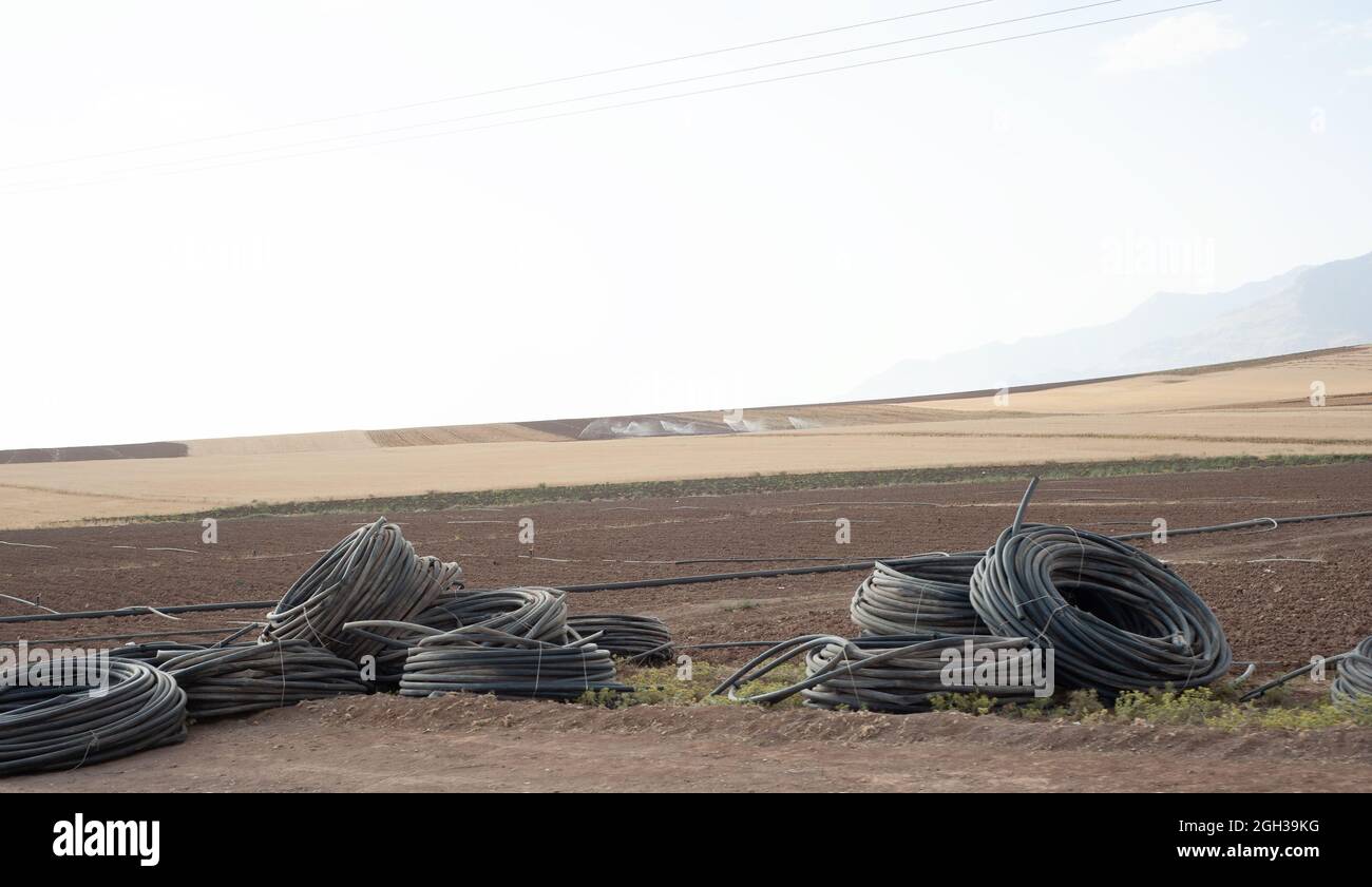 plowed wheat field with rolled irrigation system black pipes Stock Photo