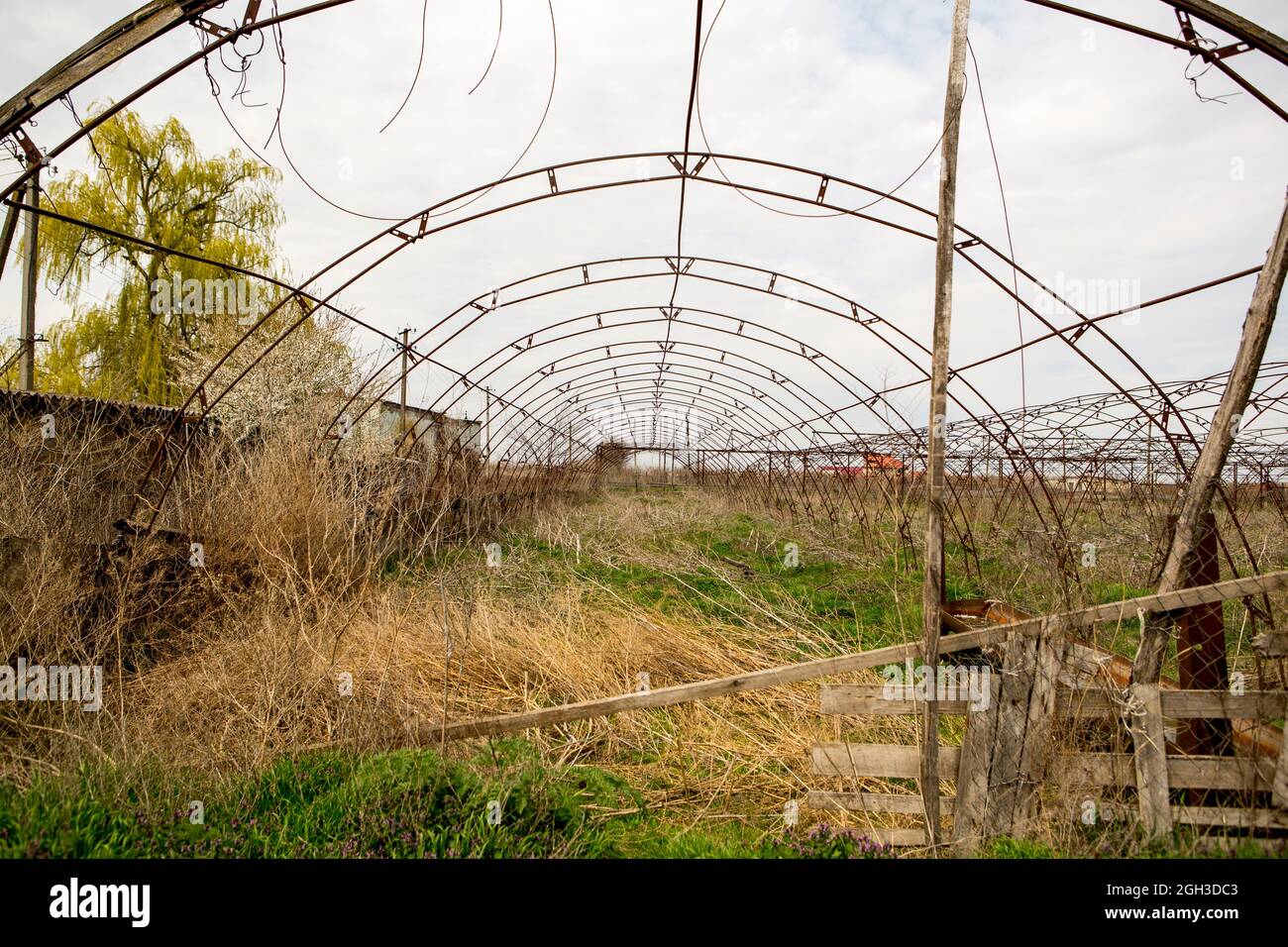 Greenhouse gardening disaster hi-res stock photography and images - Alamy