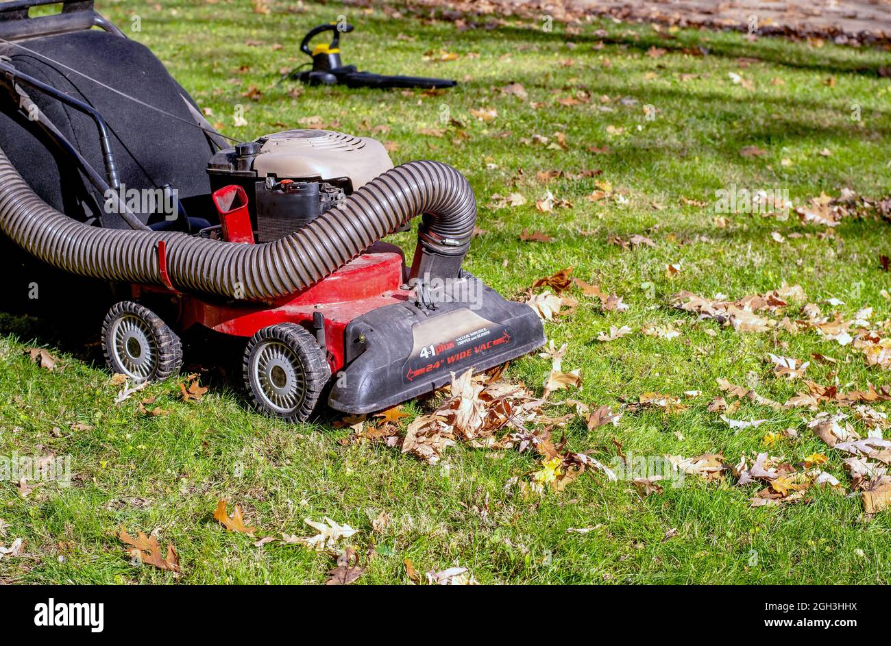 Fall lawn equipment includes a gas powered leaf vacuum and in the  background, a leaf blower. tools to help make fall leaf clean up easier  Stock Photo - Alamy