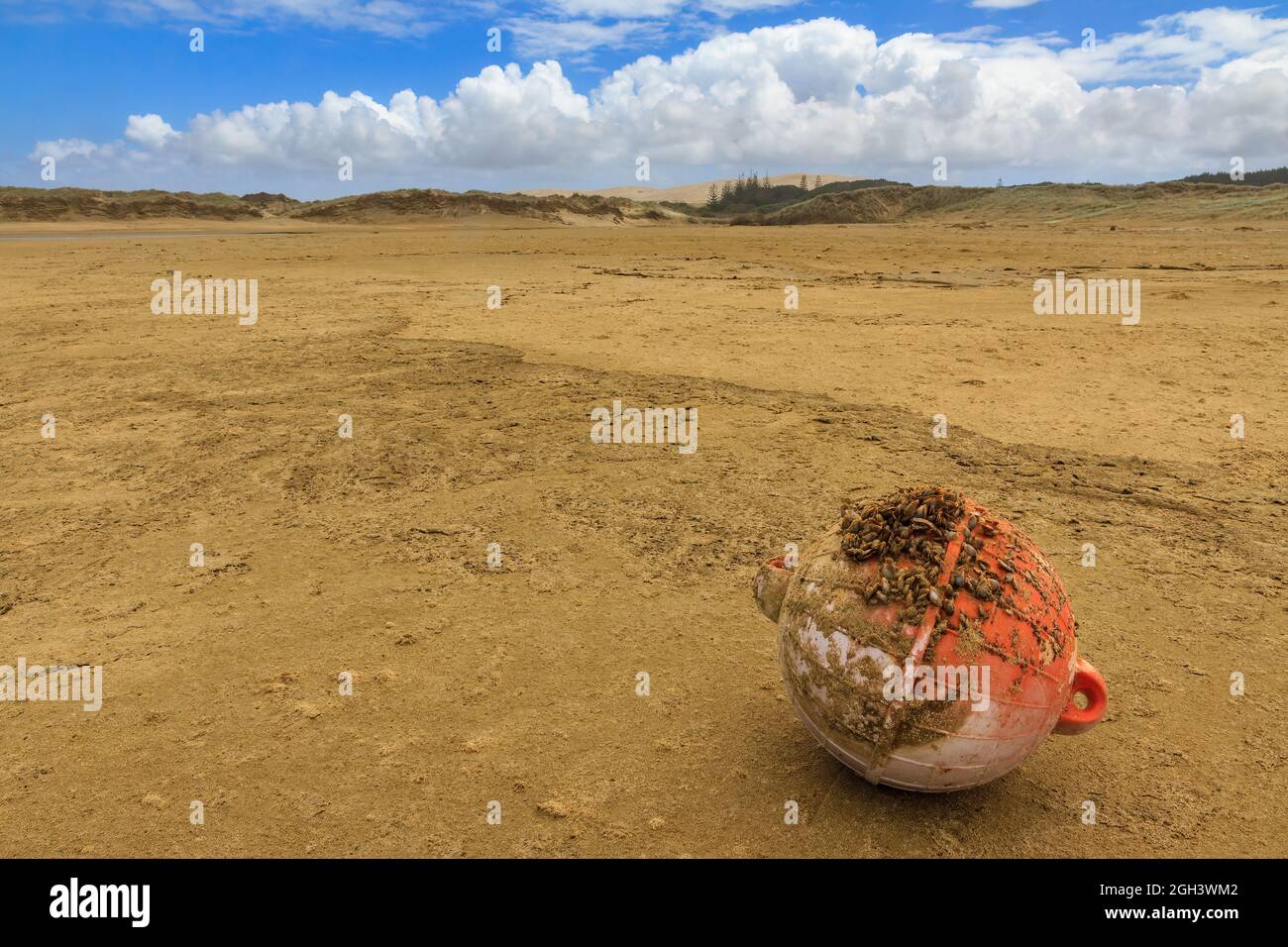 An old, shell-encrusted fishing buoy washed up on Ninety Mile Beach, Northland, New Zealand Stock Photo