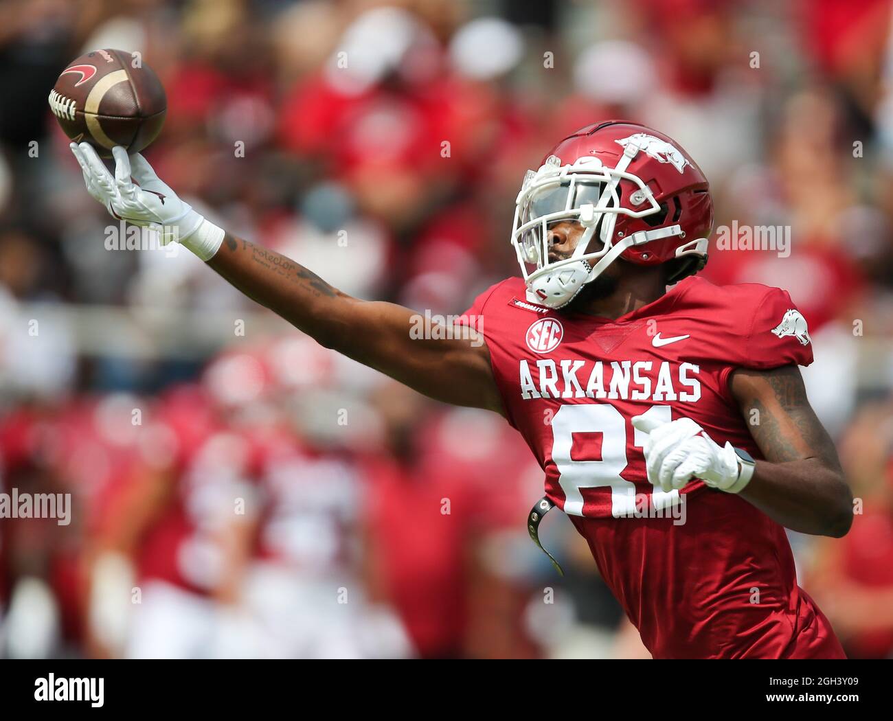 September 4, 2021: Arkansas receiver Darin Turner #81 reaches to bring in a ball. Arkansas defeated Rice 38-17 in Fayetteville, AR, Richey Miller/CSM Stock Photo