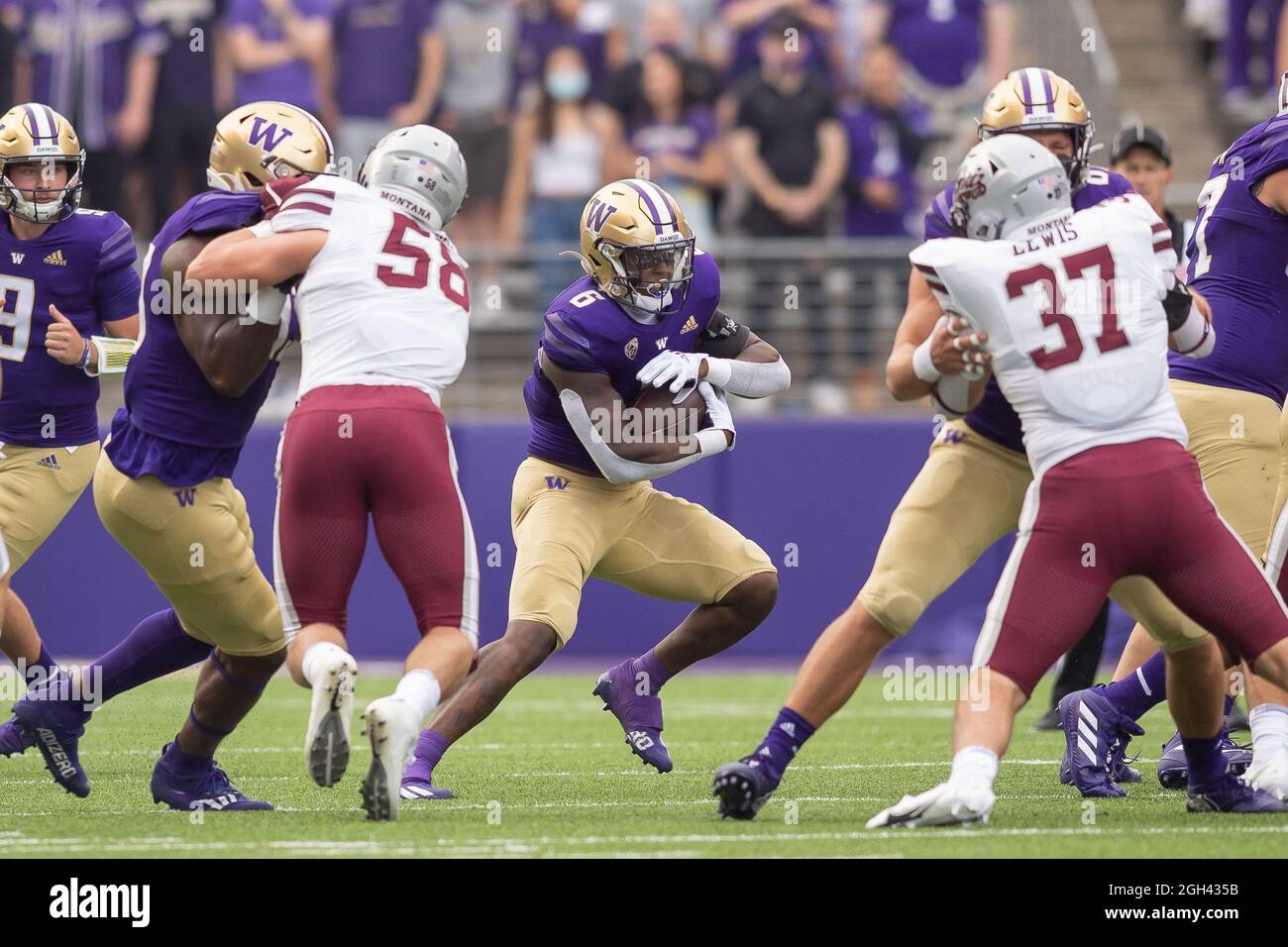 Washington Huskies running back Richard Newton (6) running with the ball during the first quarter of an NCAA college football game against the Montana Stock Photo