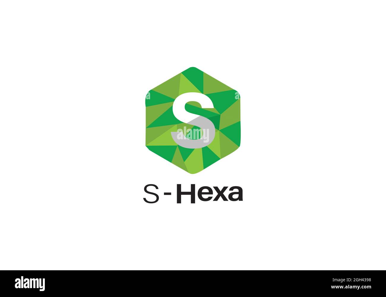 s-Hexa logo design template. Stock Vector