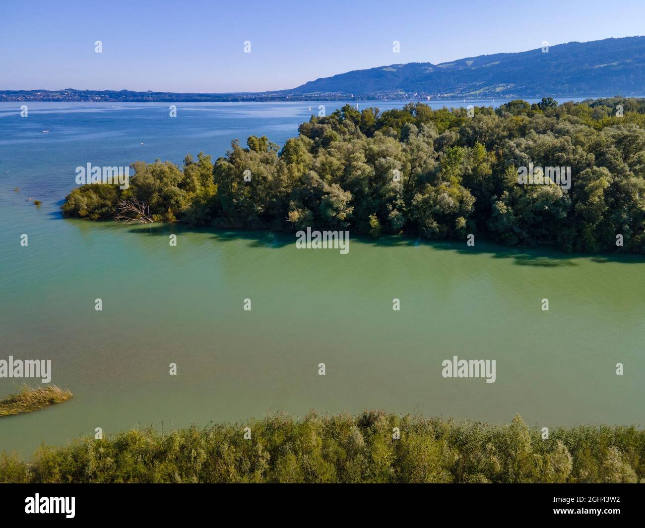 Aerial shot with a drone of the local recreation area at the Wocherhafen at the Lake Constance in Austria Stock Photo