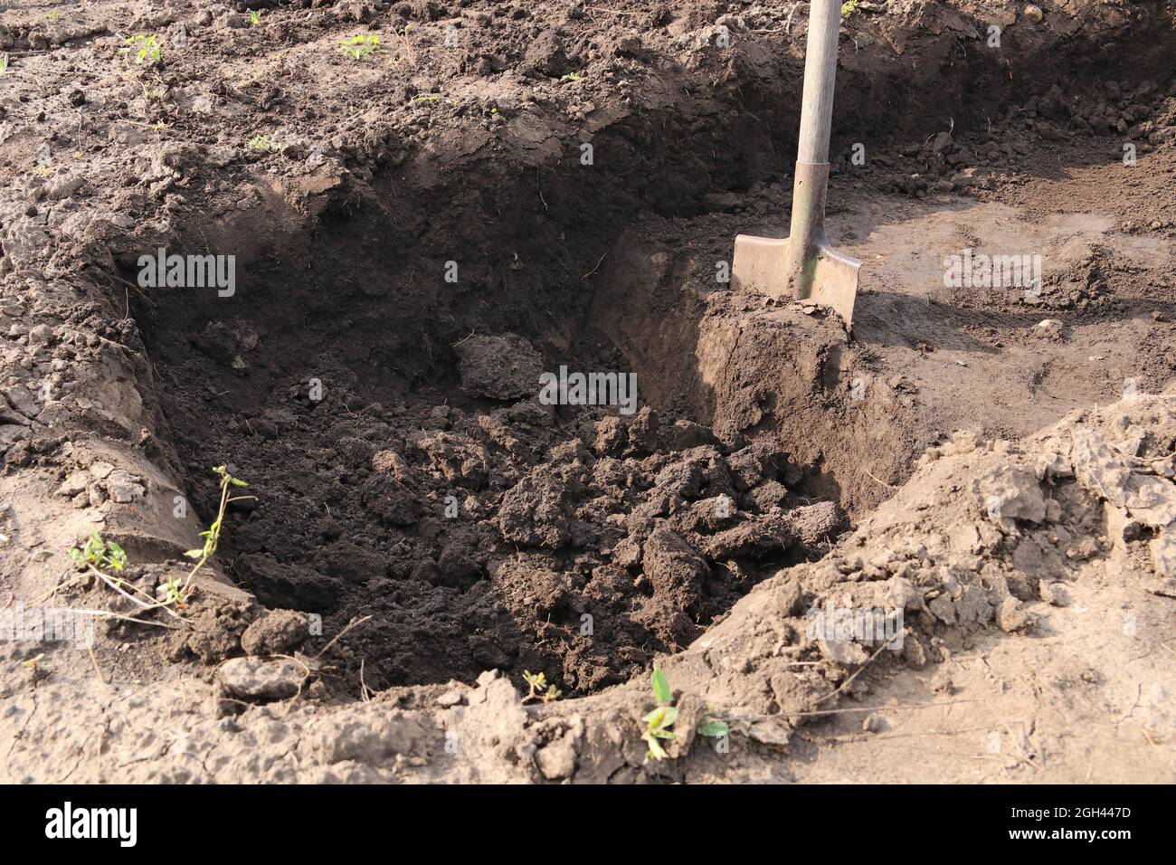 Dig into the sand hi-res stock photography and images - Alamy