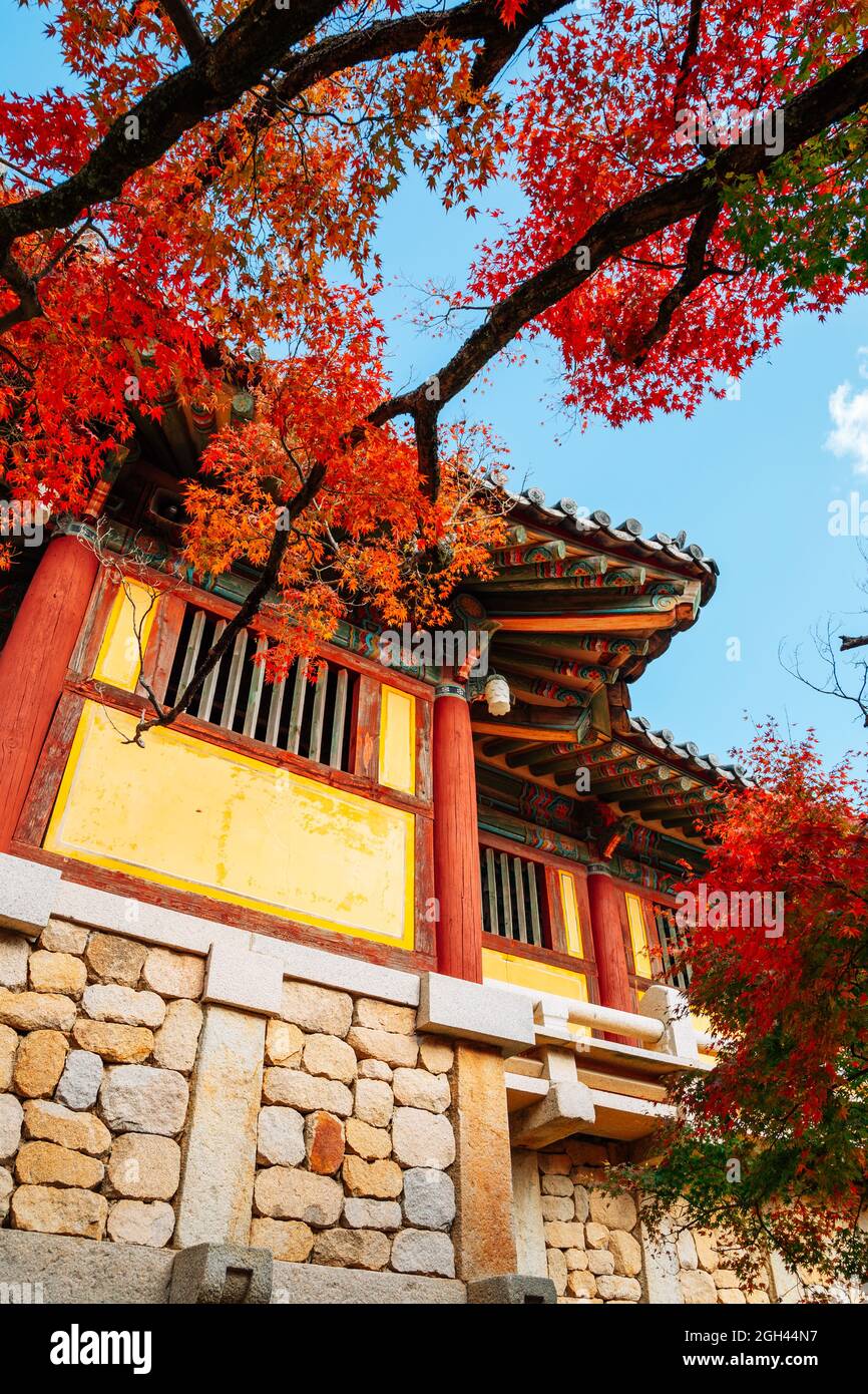 Bulguksa temple with autumn leaves in Gyeongju, Korea Stock Photo - Alamy