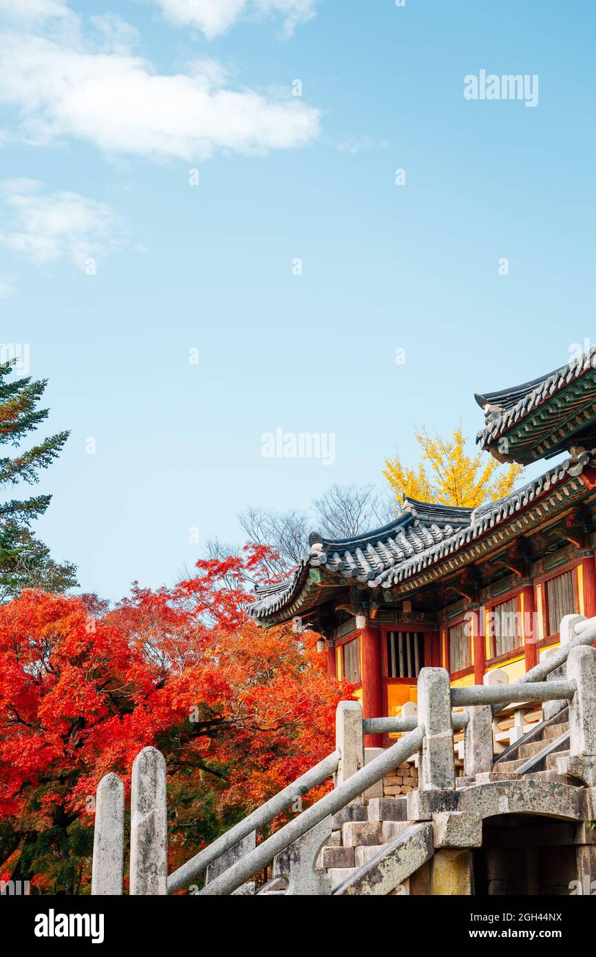 bulguksa-temple-at-autumn-in-gyeongju-korea-stock-photo-alamy