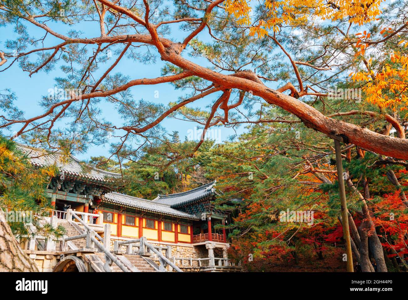 Bulguksa temple with autumn leaves in Gyeongju, Korea Stock Photo - Alamy
