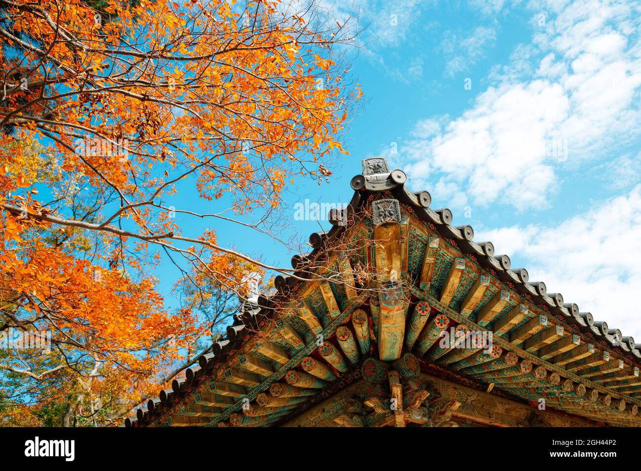 Korean traditional roof eaves with autumn leaves at Bulguksa temple in ...